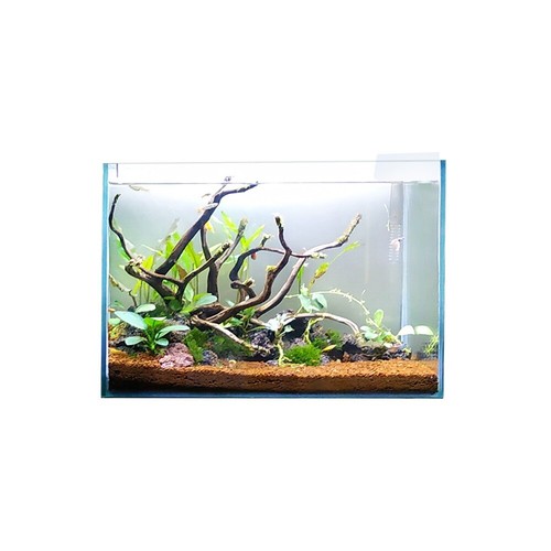 Swell glass aquarium - swell, –