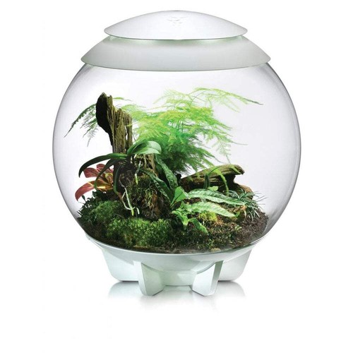 Biorb air terrarium 60 litre - biorb,