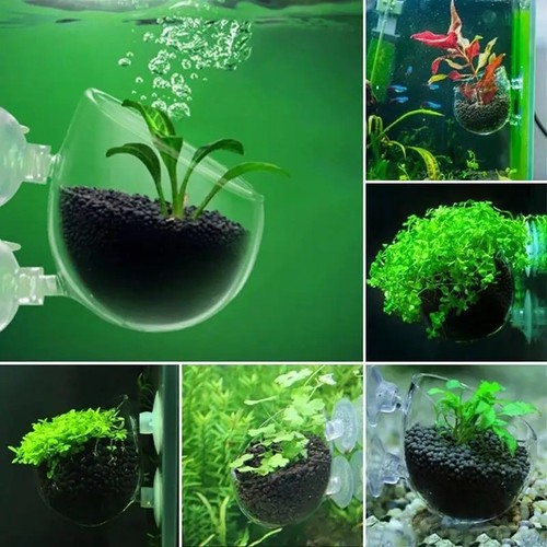 Acrylic aquarium plant - aquarium, cup