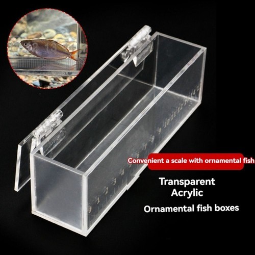 Fish viewing box acrylic - viewing,