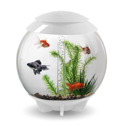 Biorb halo aquarium 30l white - aquarium,