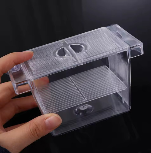 Fish isolation box acrylic - fish,