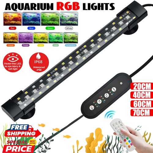 Aquarium fish tank - aquarium,