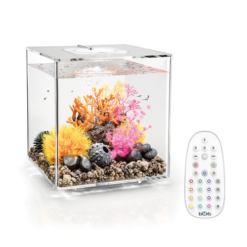 Biorb cube 30l - biorb, clear