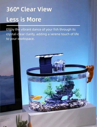 Fish tank aquarium - fish,