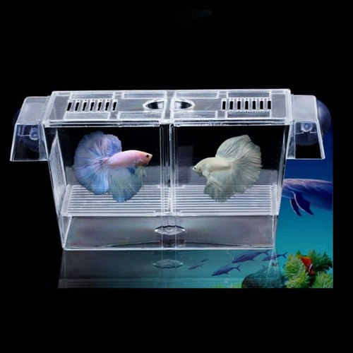 1pc fish isolation box - isolation, acrylic
