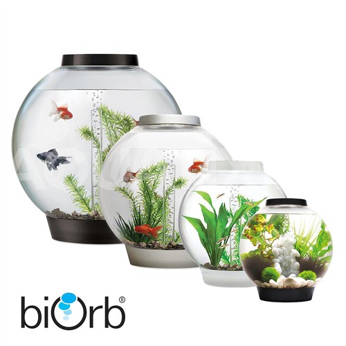 Biorb classic aquarium acrylic - classic,