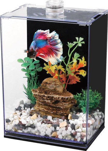 Complete betta fish starter - complete,
