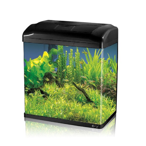 Off 18l aquarium - aquarium, fish