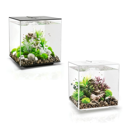 Biorb cube acrylic aquarium - 30,
