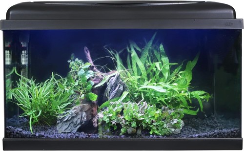 Swell aquarium 60cm tropical - swell,