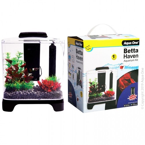 Aqua one haven betta tank - haven,