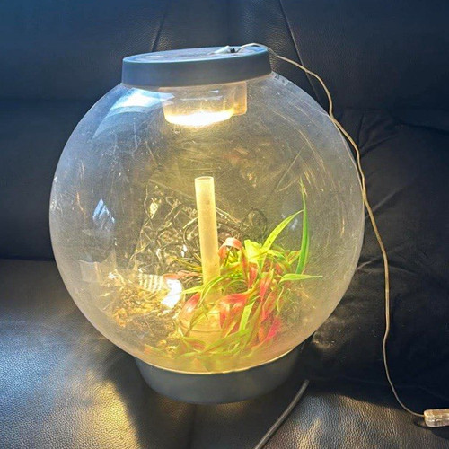 Biorb 30l round acrylic fish - round,