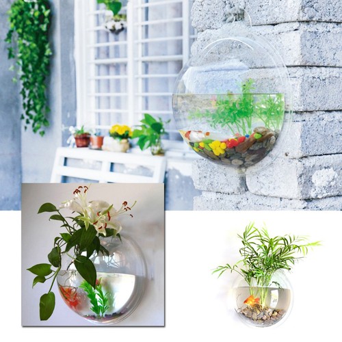 Wall mount fish tank acrylic - mount,