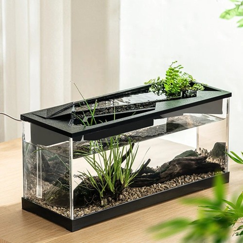 Small fish tank - aquarium,