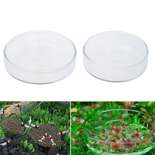 Clear acrylic shrimp feeding - acrylic,