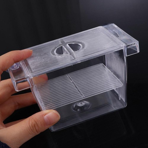 Fish isolation box - isolation,