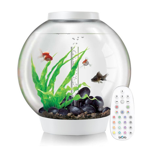 Biorb classic 60l white - classic,