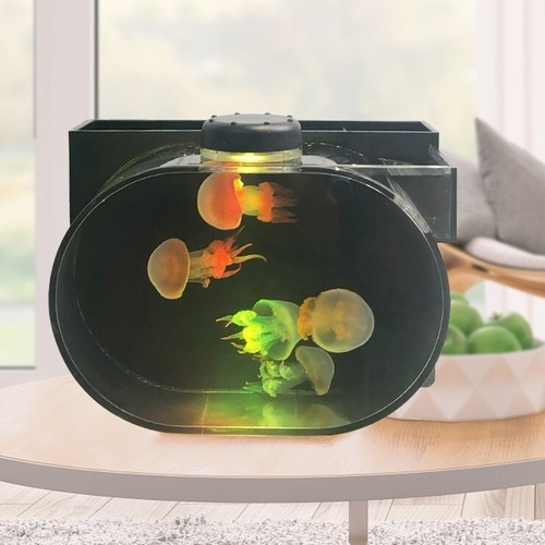 Oval mini desktop jellyfish - oval,