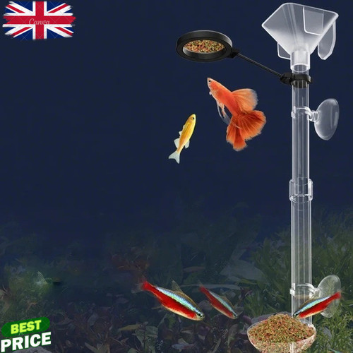 Acrylic fish tank feeding - feeding, tube