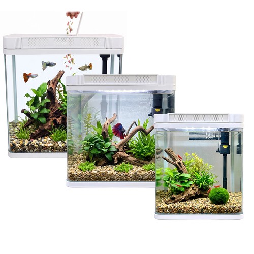 Aquarium fish tank - fish, led