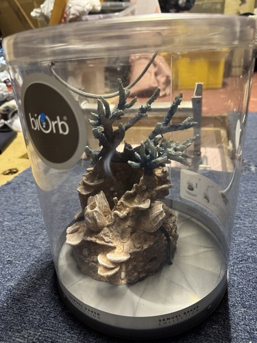 Biorb coral fish - coral,