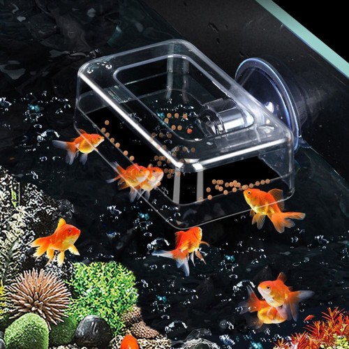 Aquarium with suction - aquarium,