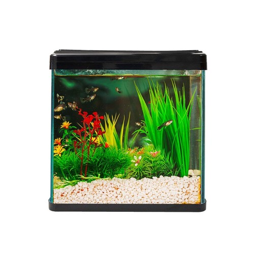 Swell small nano aquarium 30cm - nano,