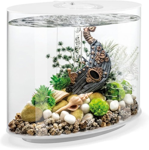 Oase biorb loop - loop, 30l