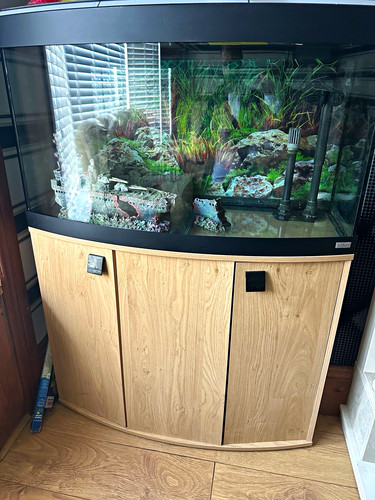 Fluval vicenza bow front - fluval,