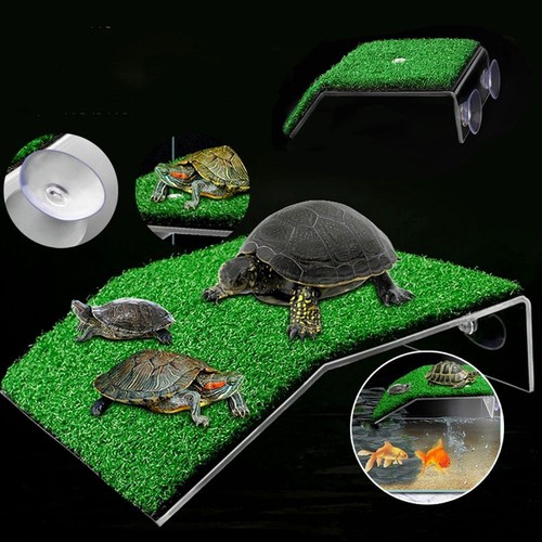 Aquariums basking platform - aquariums,