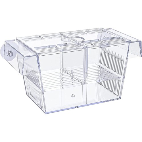Fish isolation box acrylic - isolation,