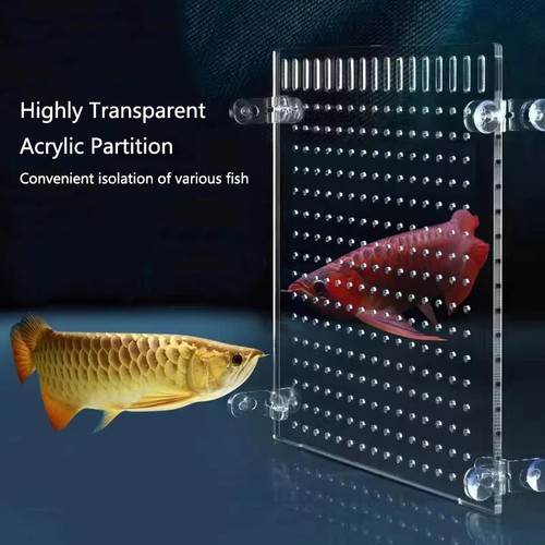 Acrylic aquarium fish tank - aquarium,