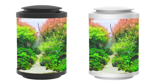 Betta choice acrylic cylinder - acrylic,