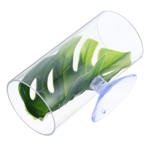 Multi purpose betta fish - multi,
