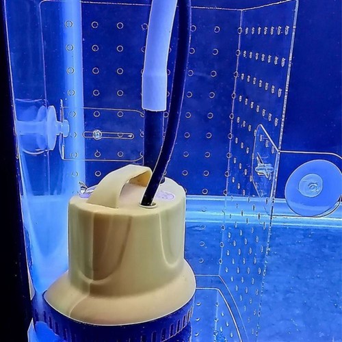 Fish tank isolation board - tank,