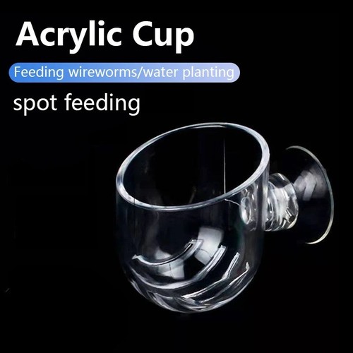 Aquarium plant cup clear - plant,