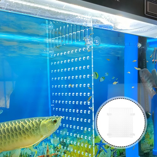 Fish tank divider acrylic - divider,