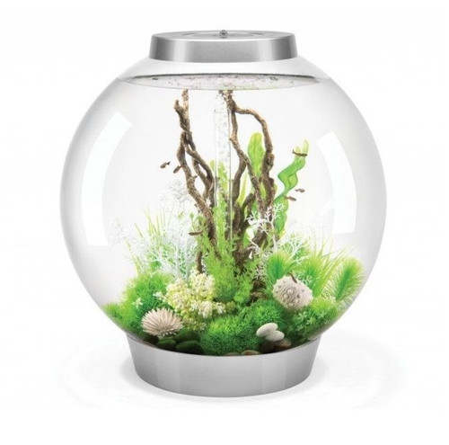Clearance oase biorb - oase, 105
