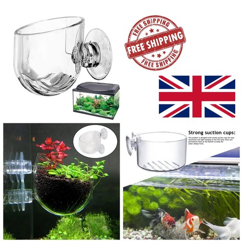 Plant pot feeding container - pot,