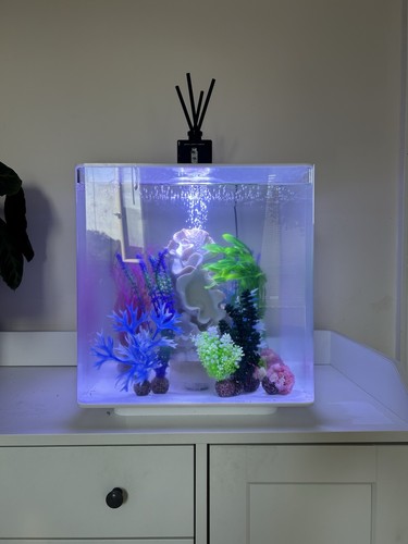 Biorb cube 60l led - cube, fish
