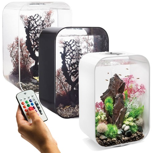 Oase multicolor fish tank life - fish,