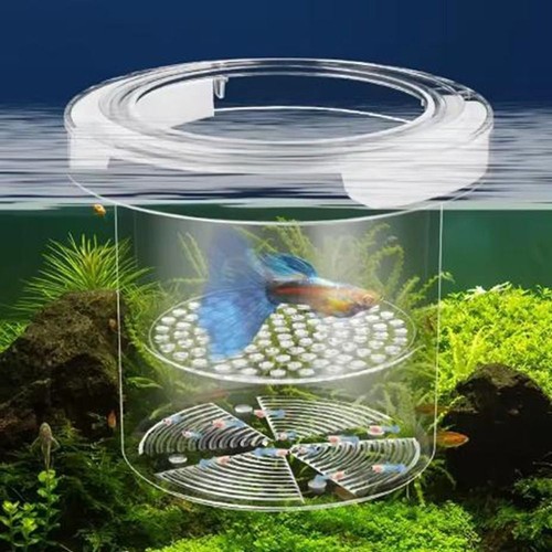 Acrylic floating fish breeding - acrylic,