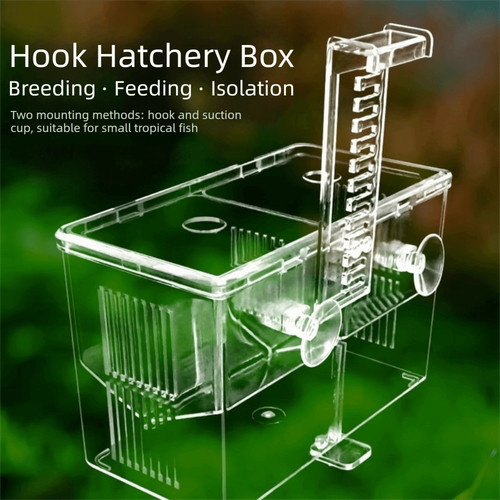 Highly transparent fish - highly,