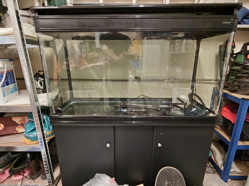 Boyo fish tank - boyo, aquarium