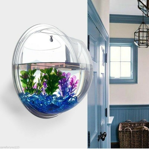 Acrylic wall mounted hanging - mounted,