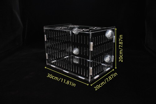 Fish breeding isolation box - breeding,