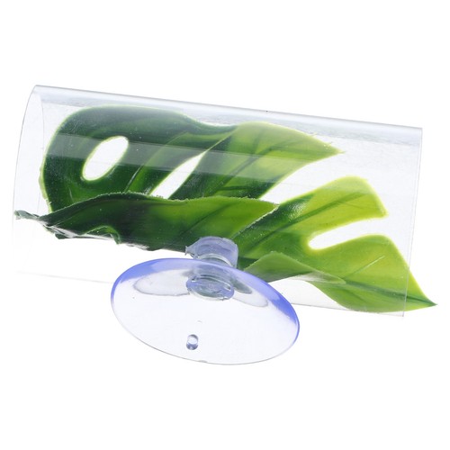 Floating betta log - betta, fish