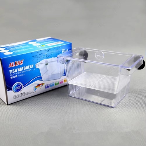 Aquarium fish tank breeding - aquarium,