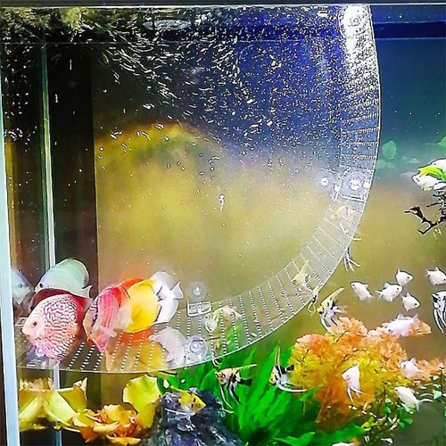 Fish tank breeding - fish,